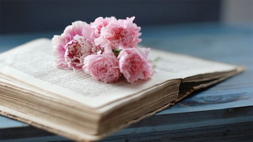 57a84d320c6ad.jpg